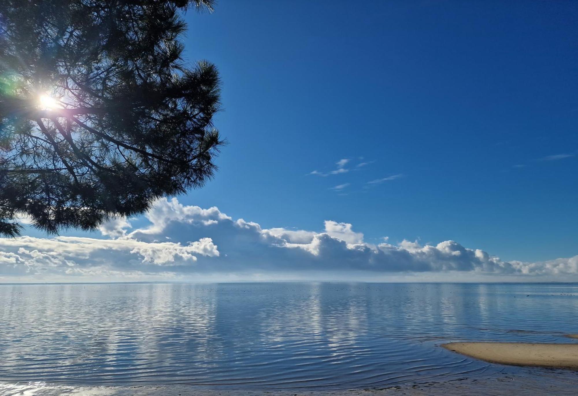 Villa Petit-Pere - A 400M De La Plage Taussat-les-Bains Kültér fotó